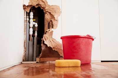 An image of a wall that has been damaged by water. Next to it, a red bucket and a sponge.